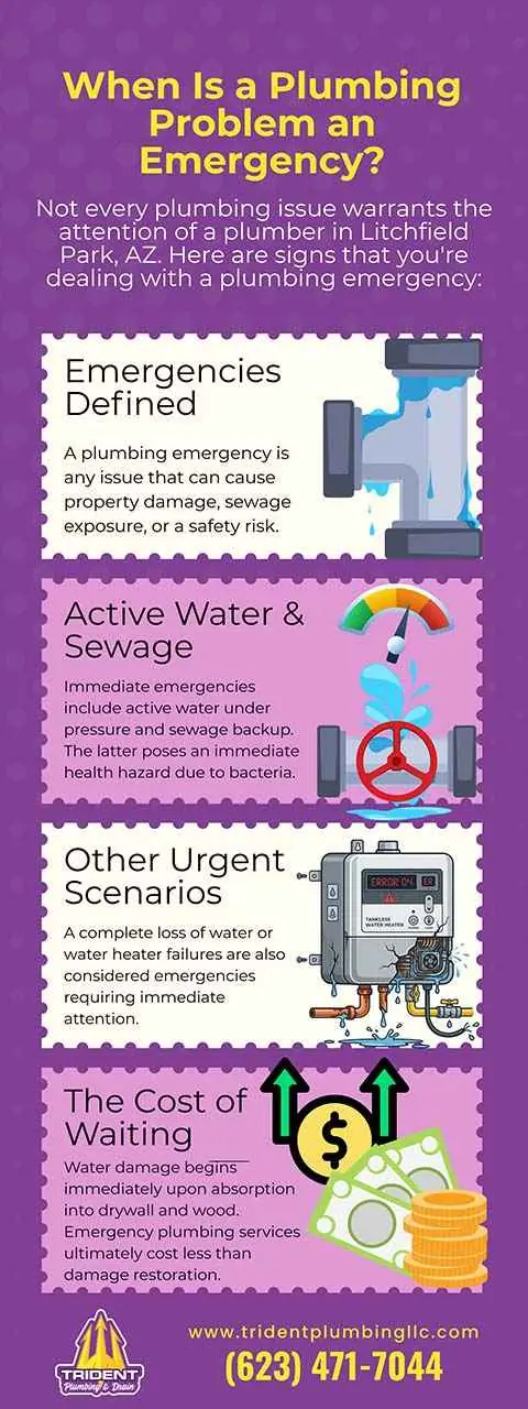 When is a Plumbing an Emergency?