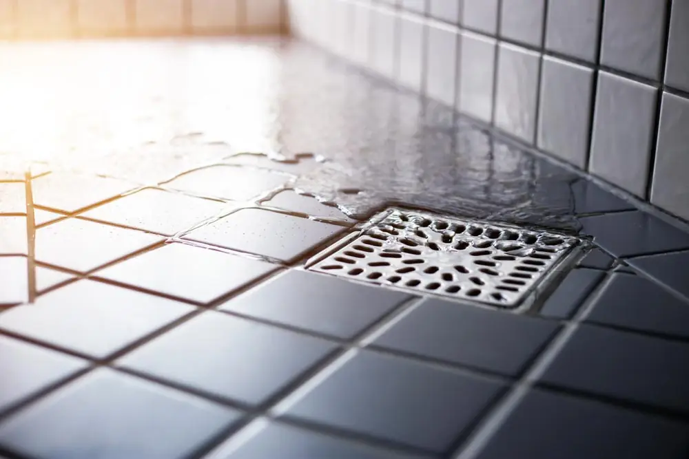 clear drains