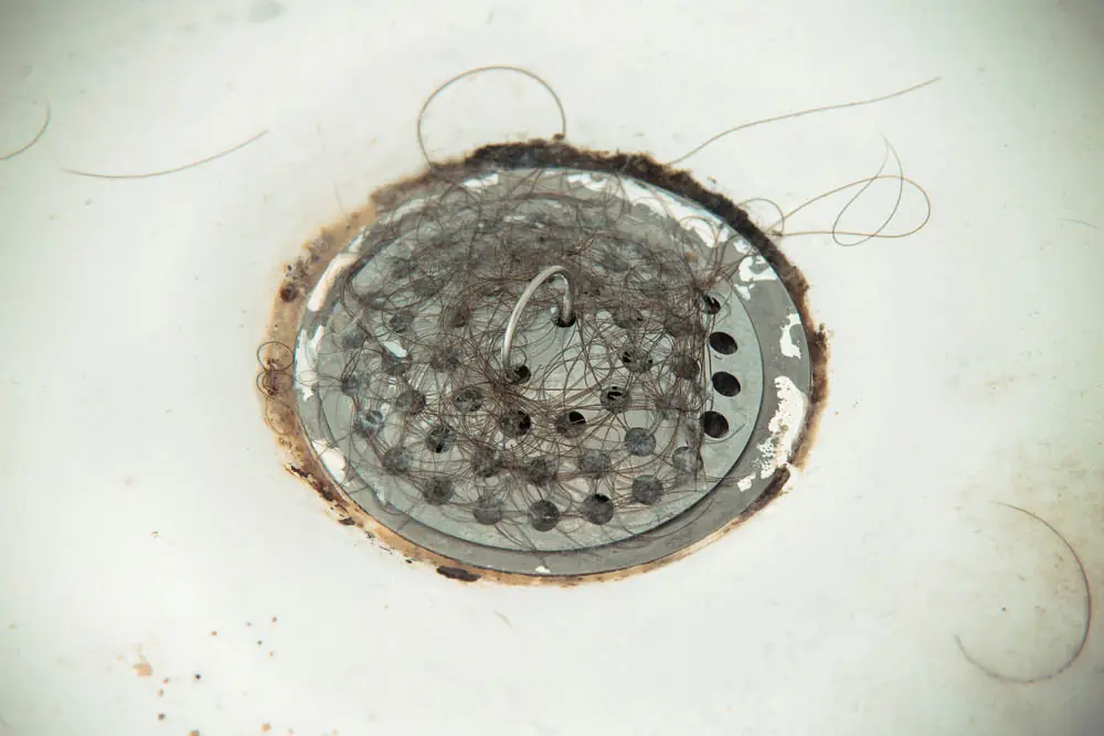 a drain screen/hair catcher