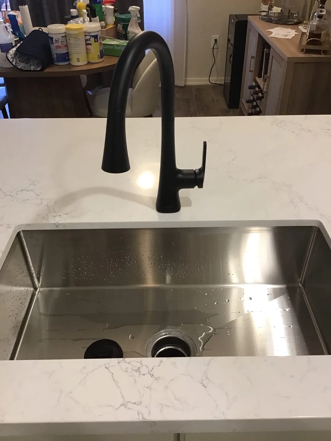 A black kitchen faucet above a stainless steel sink
