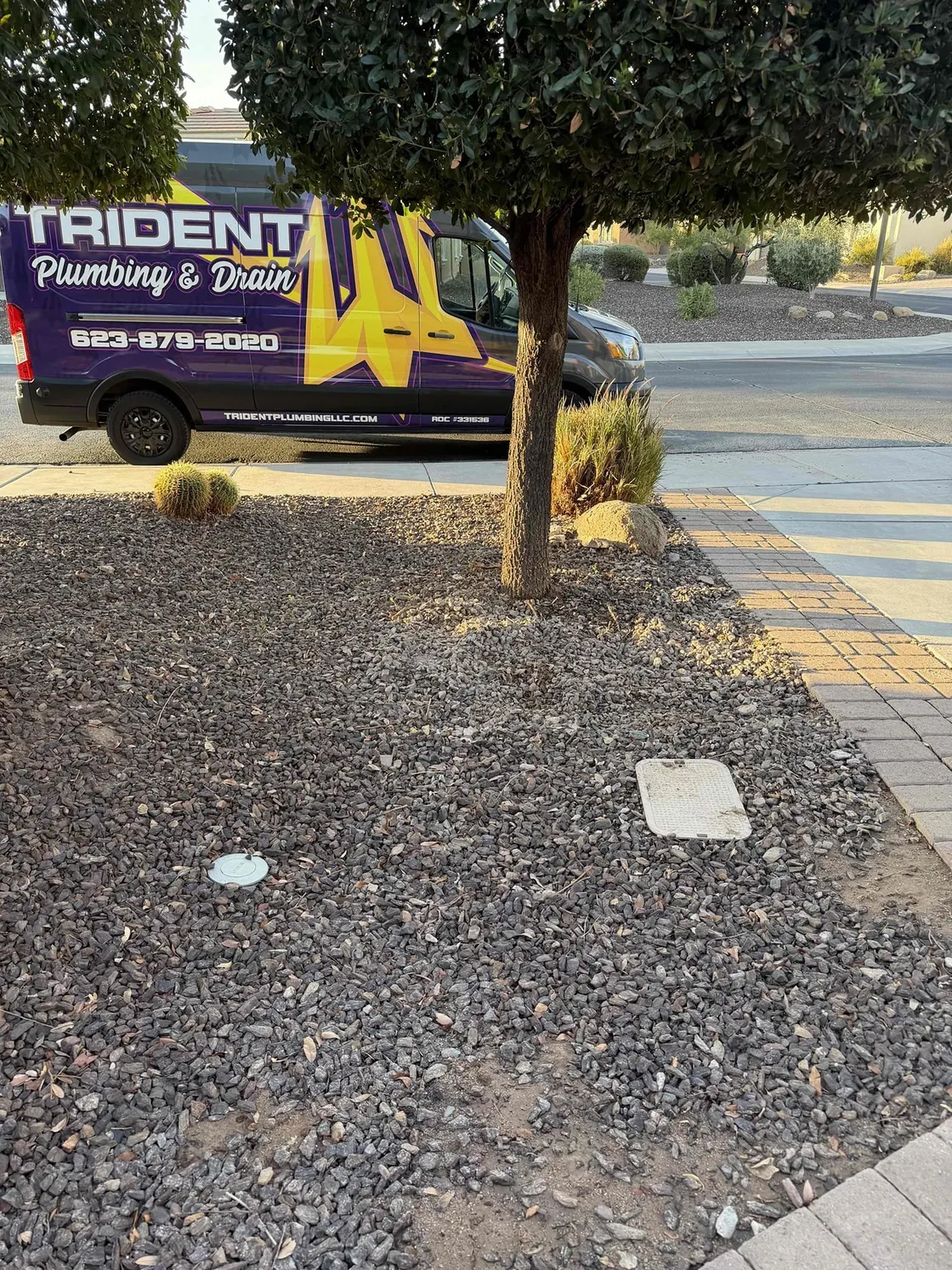 A purple and gold Trident van parked on a street beside desert landscaping