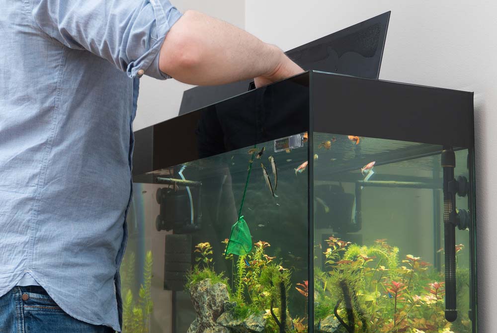 aquarium tank