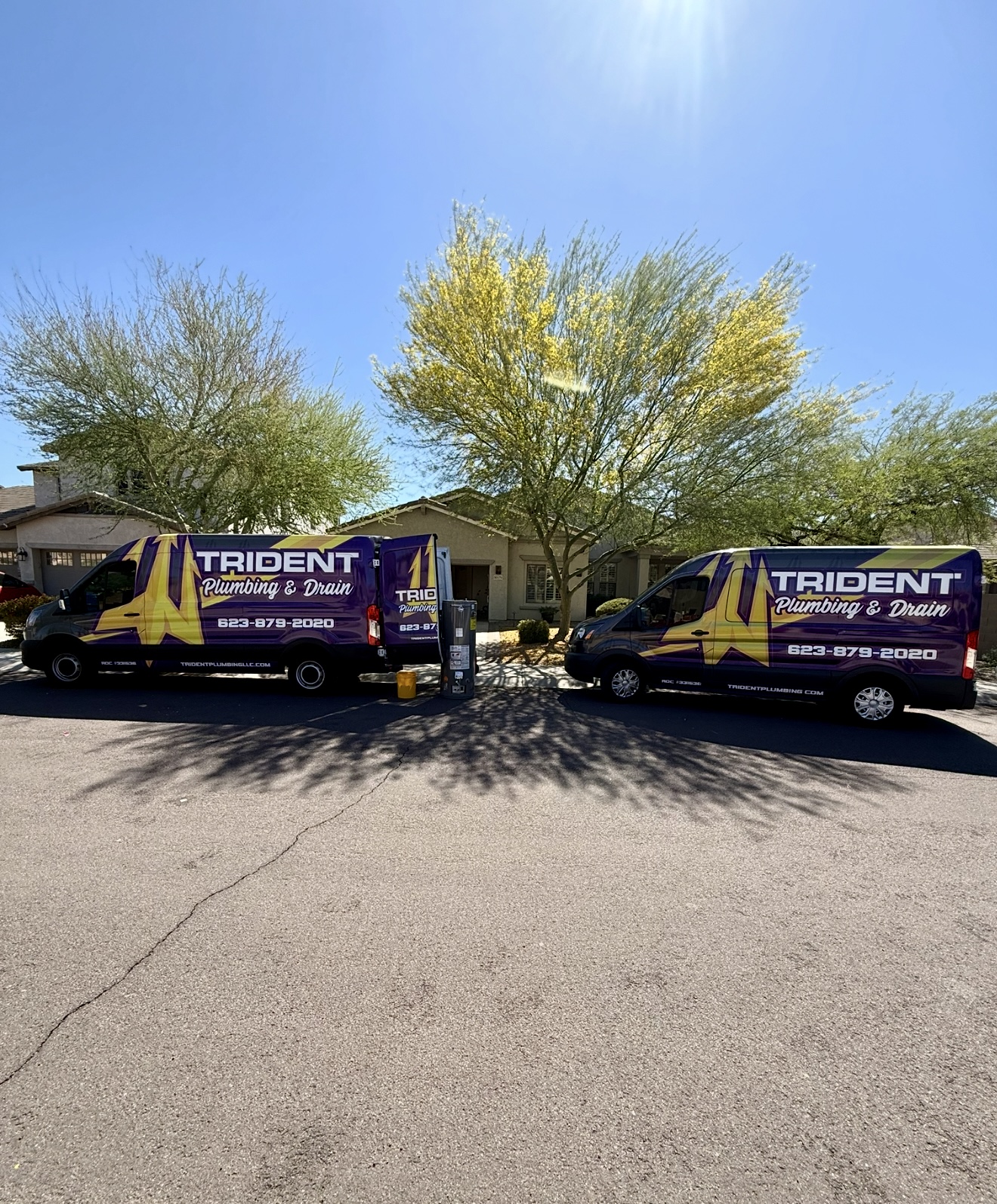 A line of yellow Trident Plumbing service vans parked in a row on an asphalt lot in Phoenix under a clear blue sky.