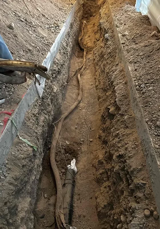 sewer - replacement due to roots