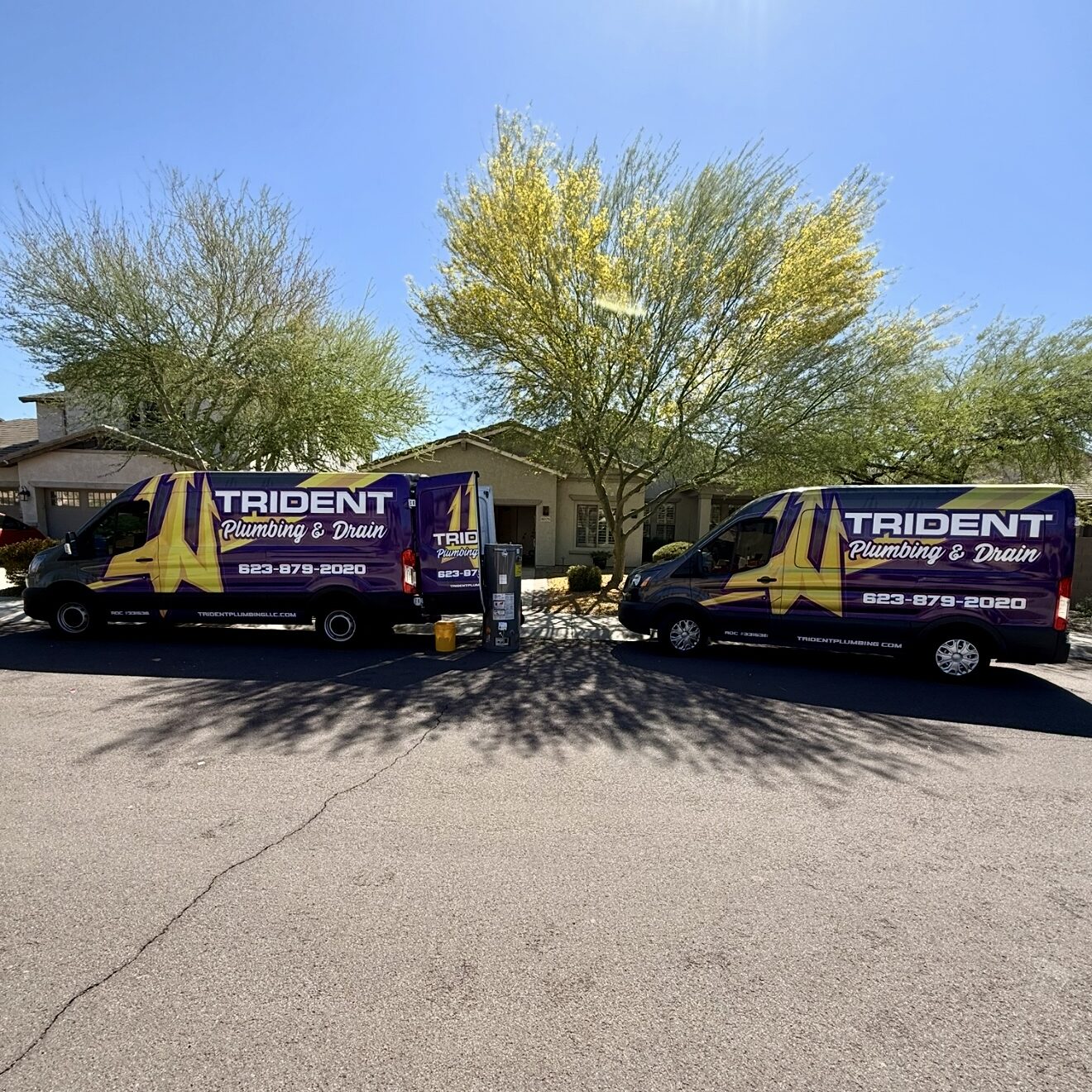 A line of yellow Trident Plumbing service vans parked in a row on an asphalt lot in Phoenix under a clear blue sky.